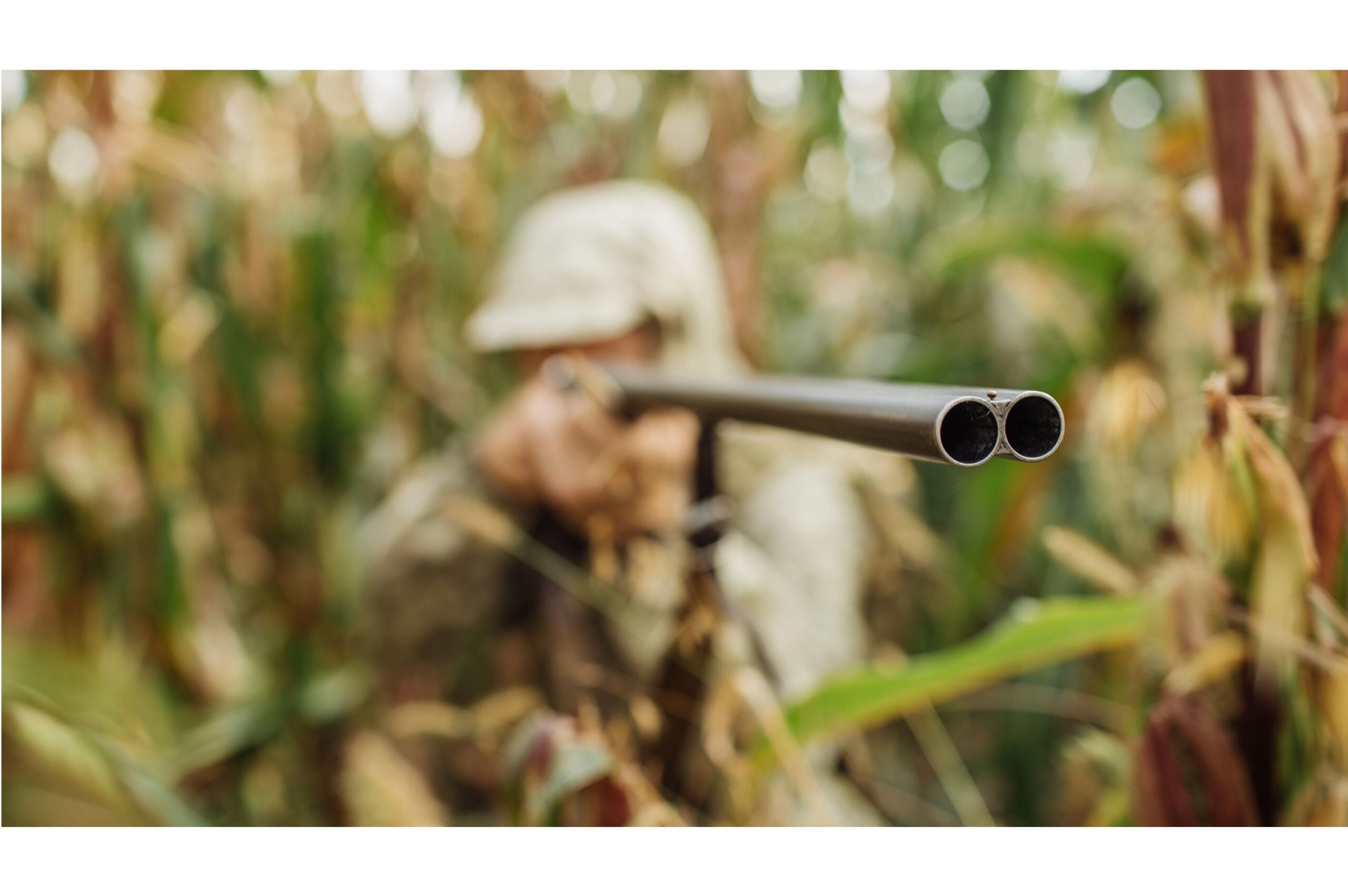 The Debate Over Trophy Hunting and Its Impact on Wildlife Conservation