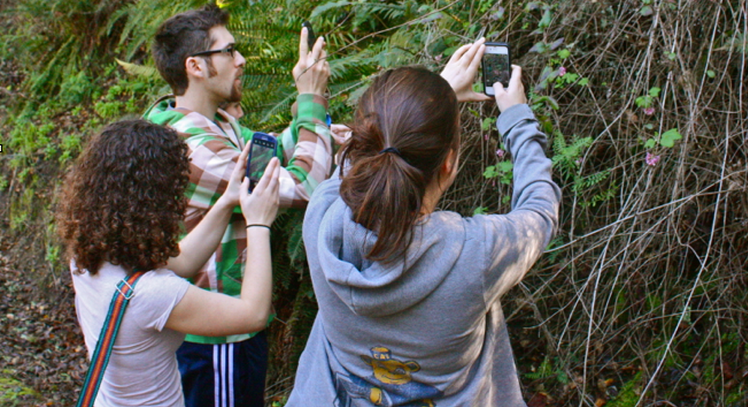 Using the iNaturalist app in the field
