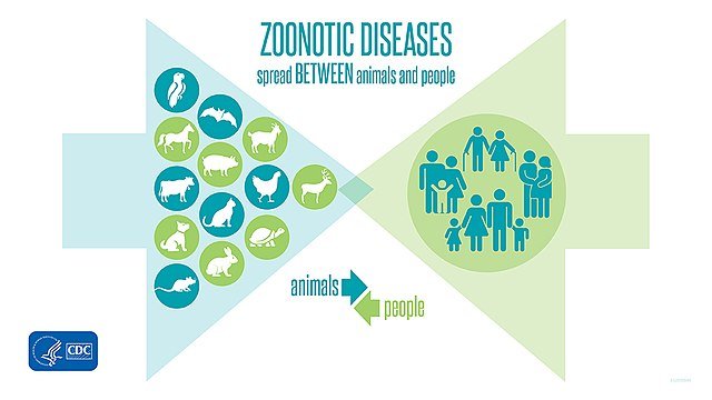 Zoonotic Diseases - Spread BETWEEN animals and people