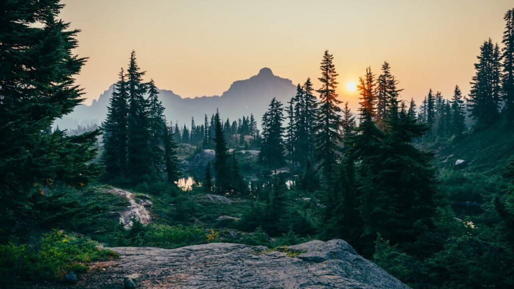 Forest surrounding a mountain.