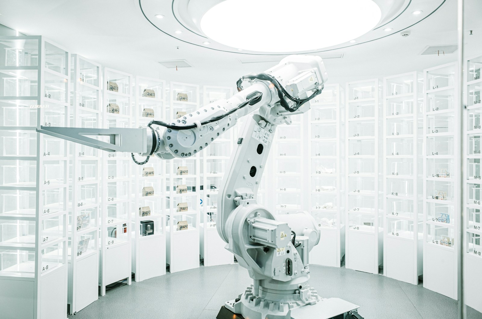 The Use of Robotics in Assisting Wildlife Rehabilitation Programs