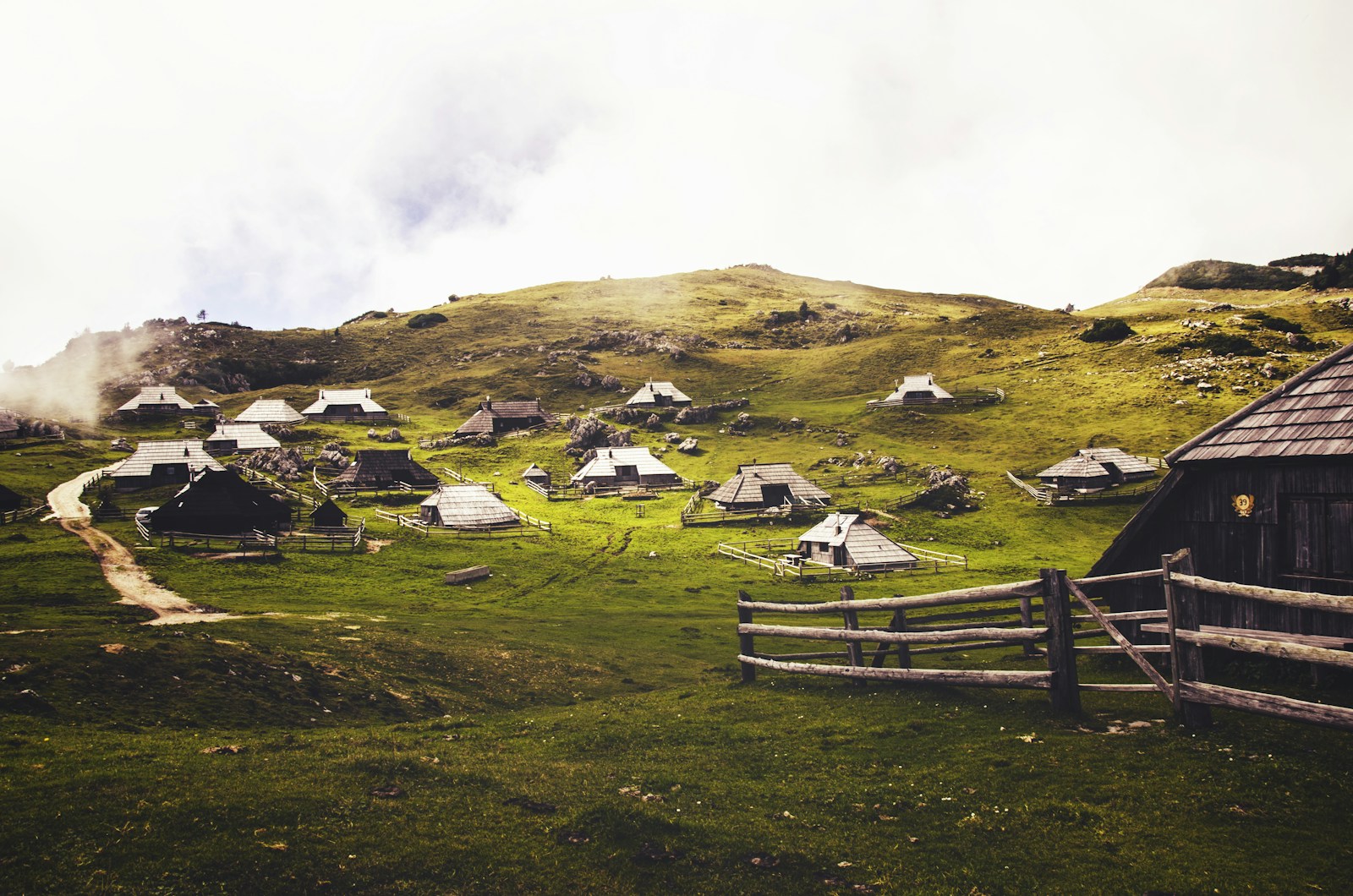 The Role of Local Communities in Wildlife Conservation
