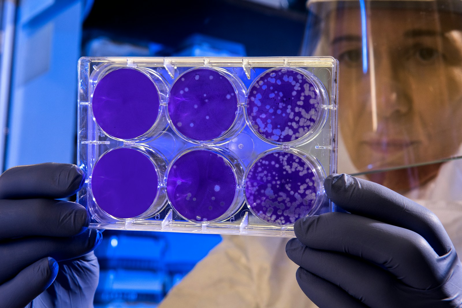Biotechnology and the Fight Against Wildlife Diseases