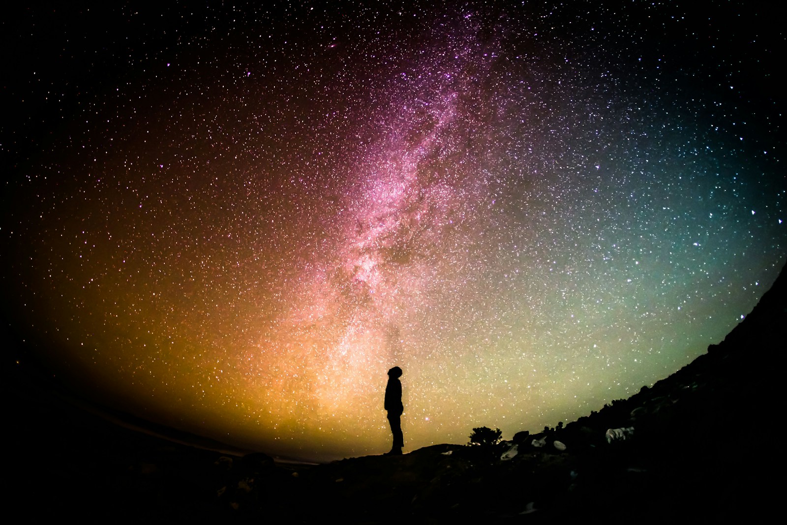 Could the Moon Support Life? Exploring Lunar Habitats and Their Potential for Organisms