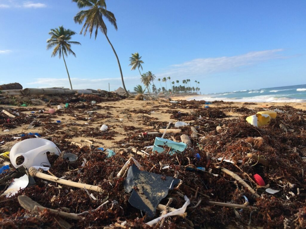 Waste materials near the seashore.
