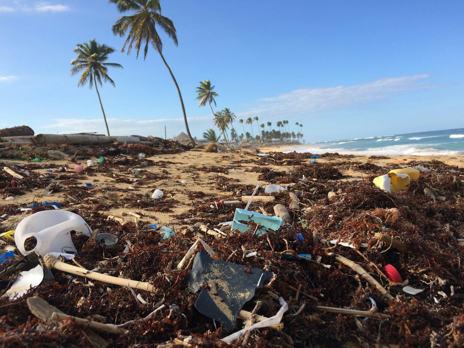 The Threat of Plastic to Marine Life How to Stop the Ocean from Becoming a Plastic Soup