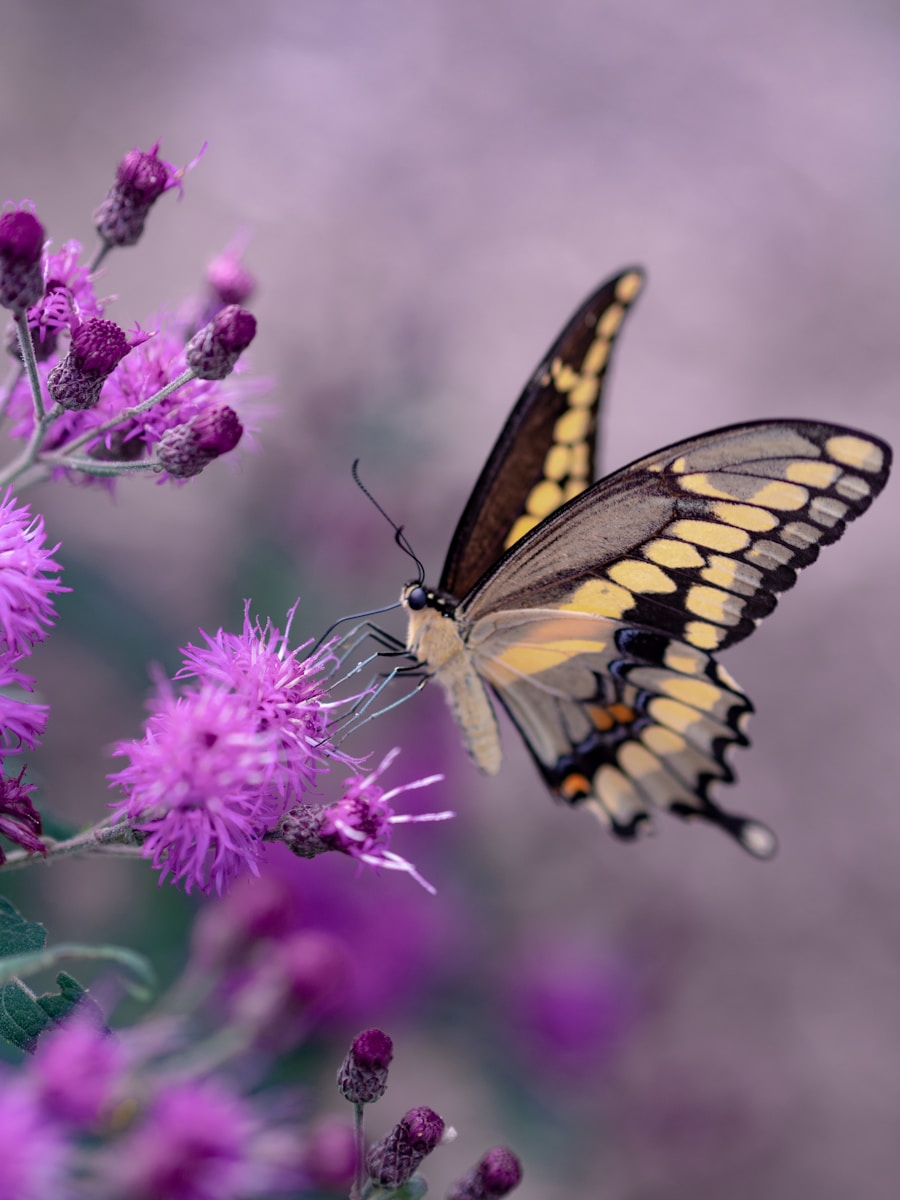 The Importance of Pollinators: Saving Bees, Butterflies, and Bats