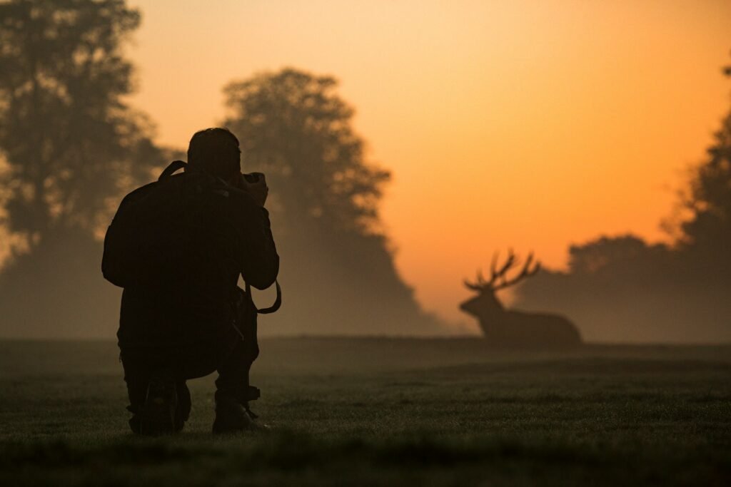 A wildlife photographer taking a photo of a deer from afar.