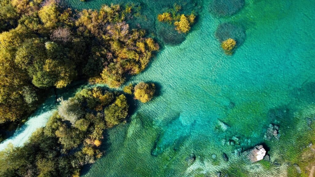 Coral Reef Aerial View