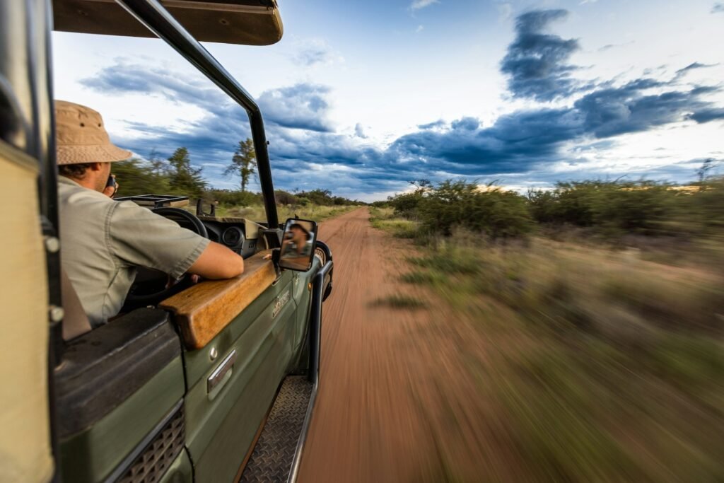 Man driving a truck down a safari.