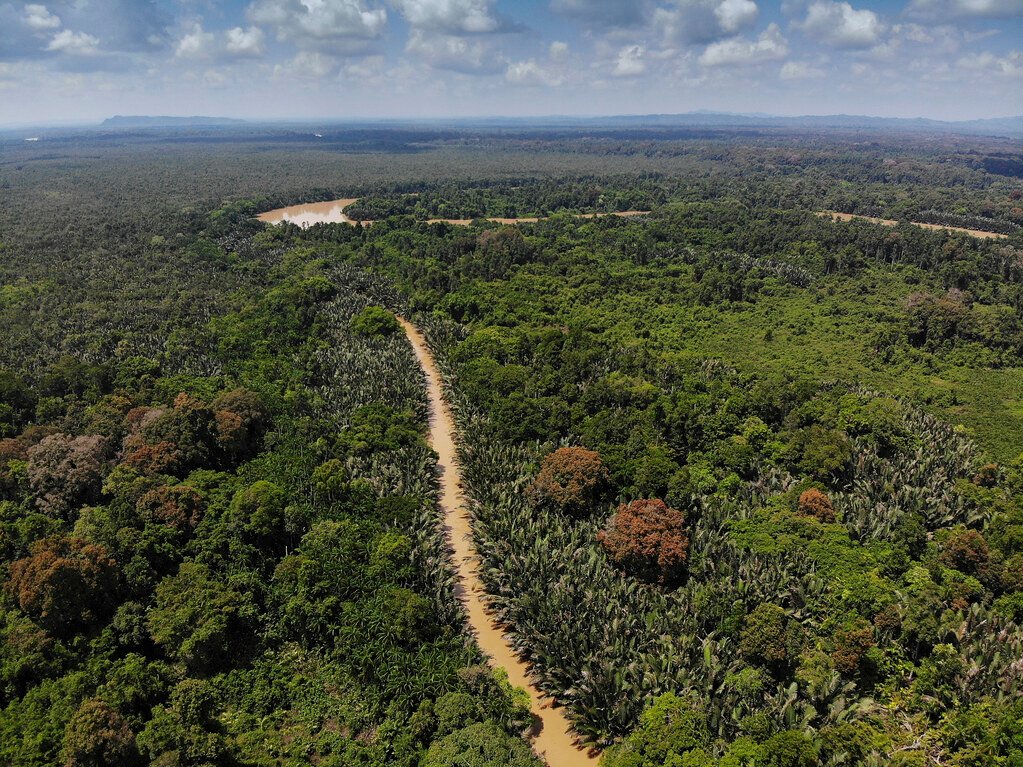 Kinabatangan River Sabah.