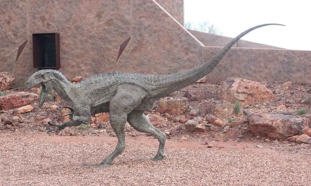Australovenator wintonensis