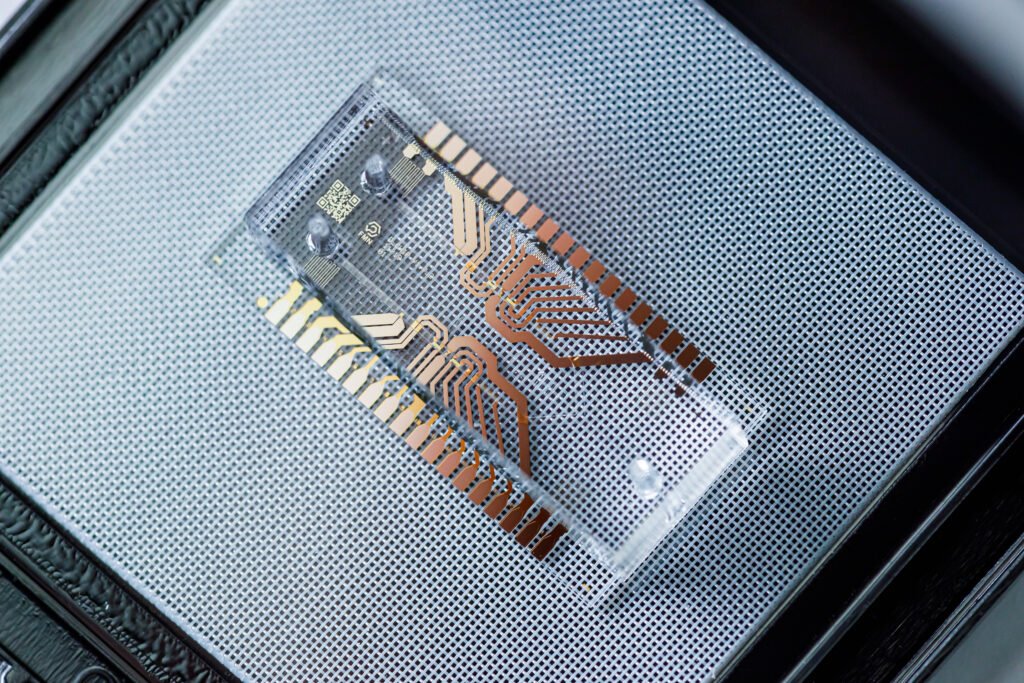 Microfluidic chip with intricate circuits.