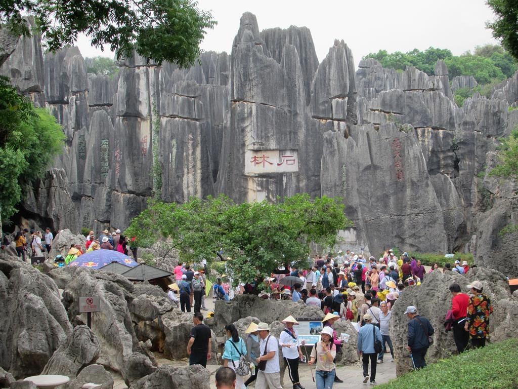 Stone Forest ecosystem