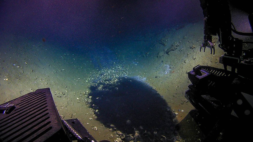Brine pool, ecosystem