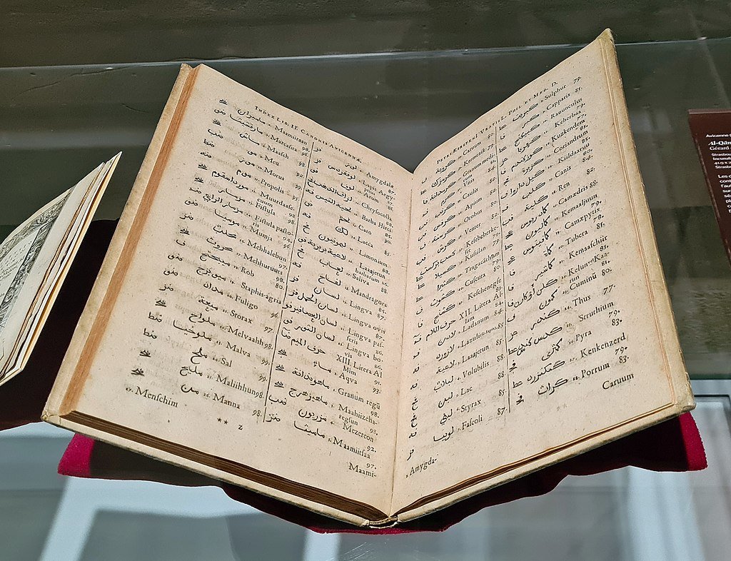 Canon of Medicine