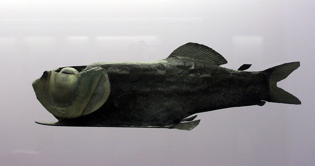 Barreleye Fish, marine creature
