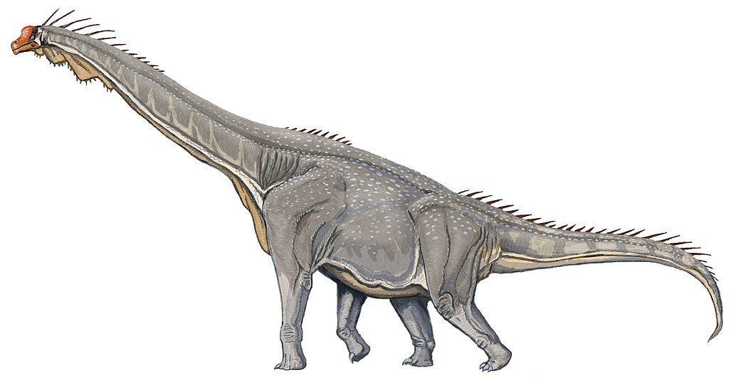Brachiosaurus altithorax