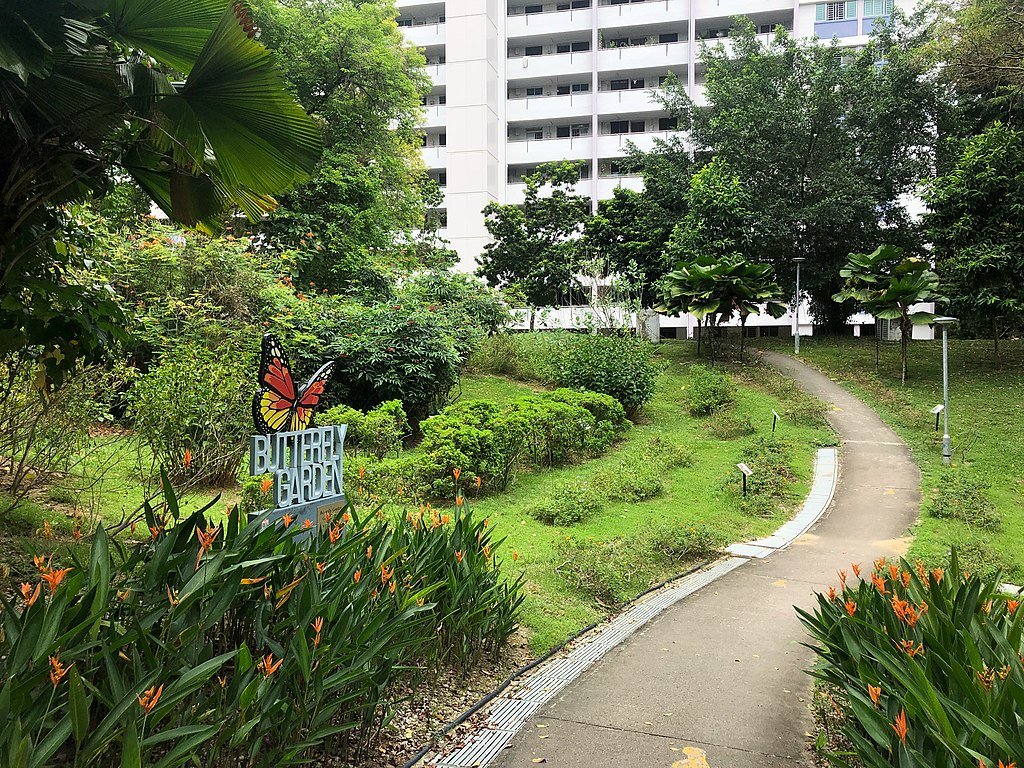 How to build a butterfly garden
