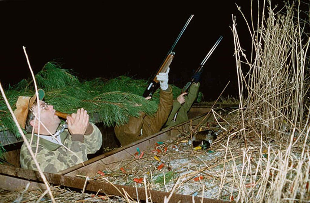 Wildlife hunters