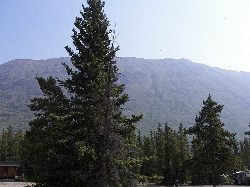 Canada's wilderness