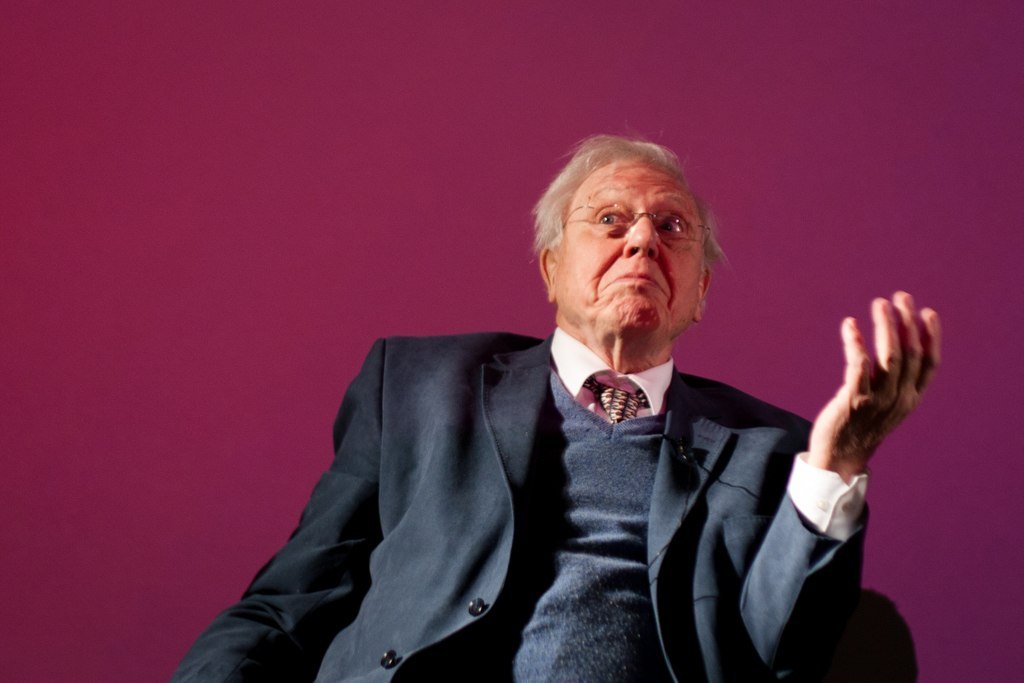 David Attenborough talking at 3D Creative Summit 2013.