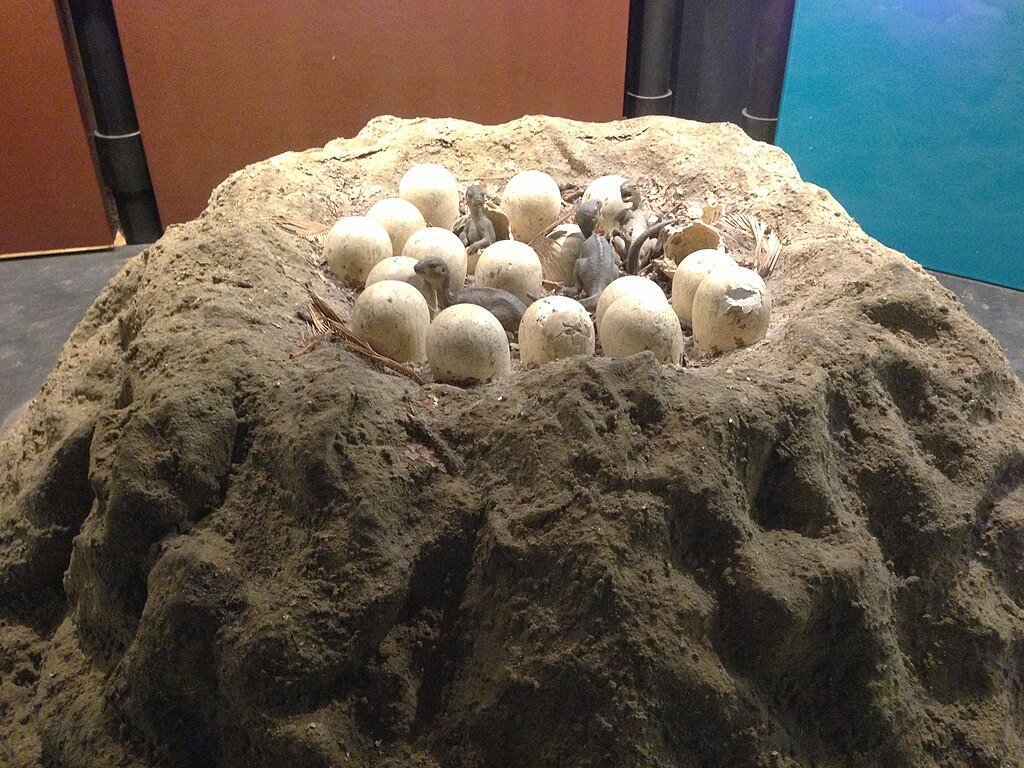 Dinosaur Egg Nest