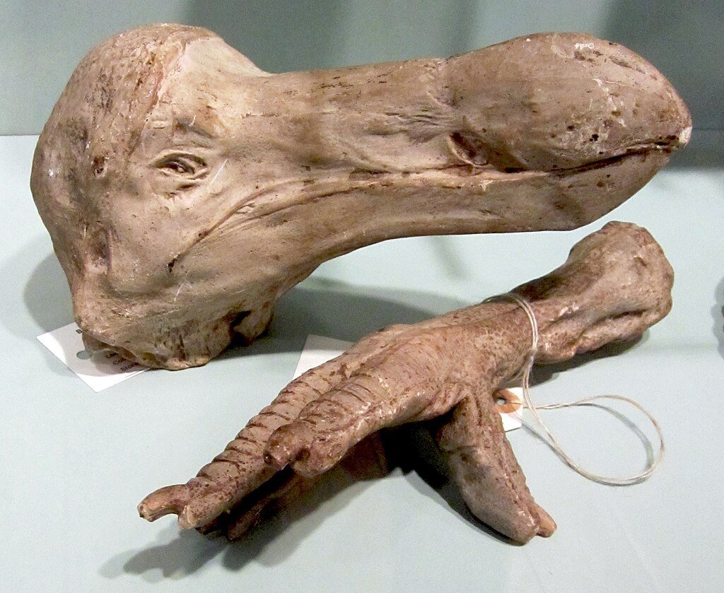 Extinct specie