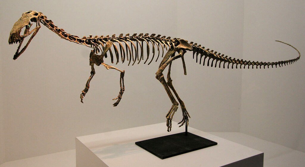 Theropods