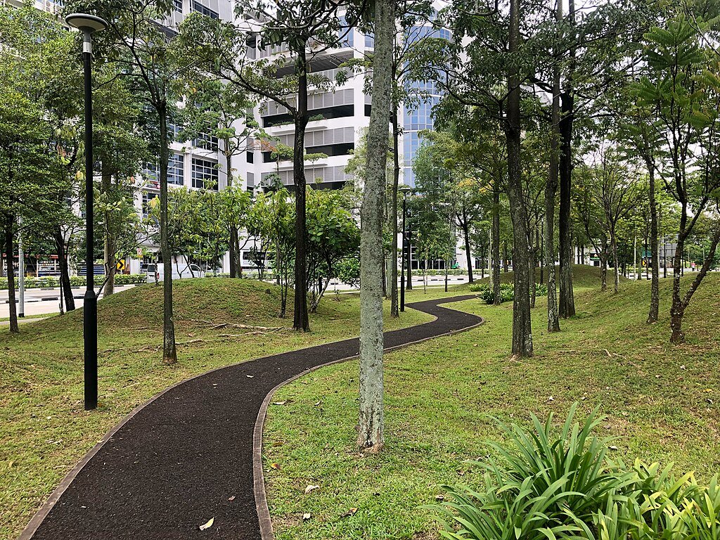 Singapore urban jungle