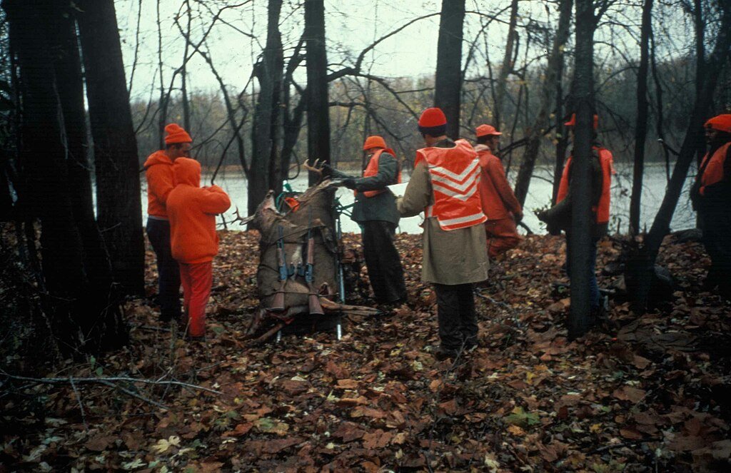 Wildlife hunters in the forest