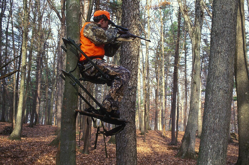 Wildlife hunter