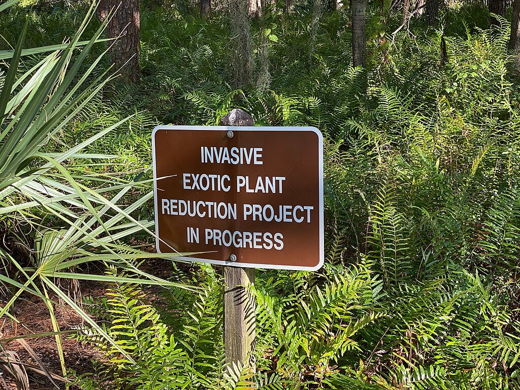 Invasive species