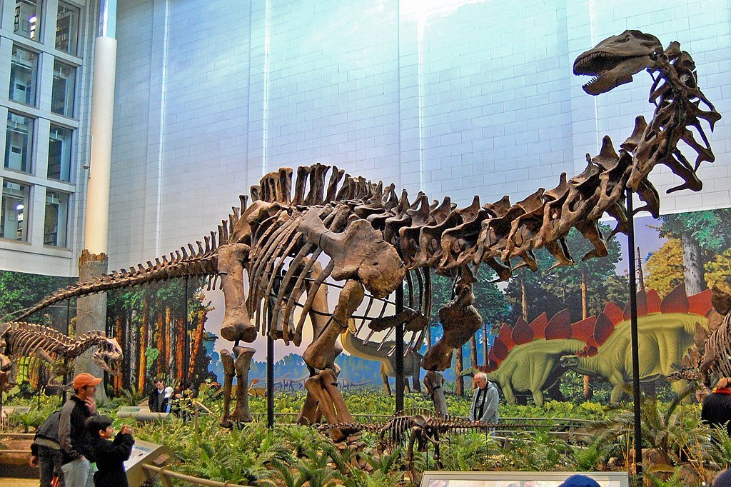 Sauropod Malaysia dinosaur