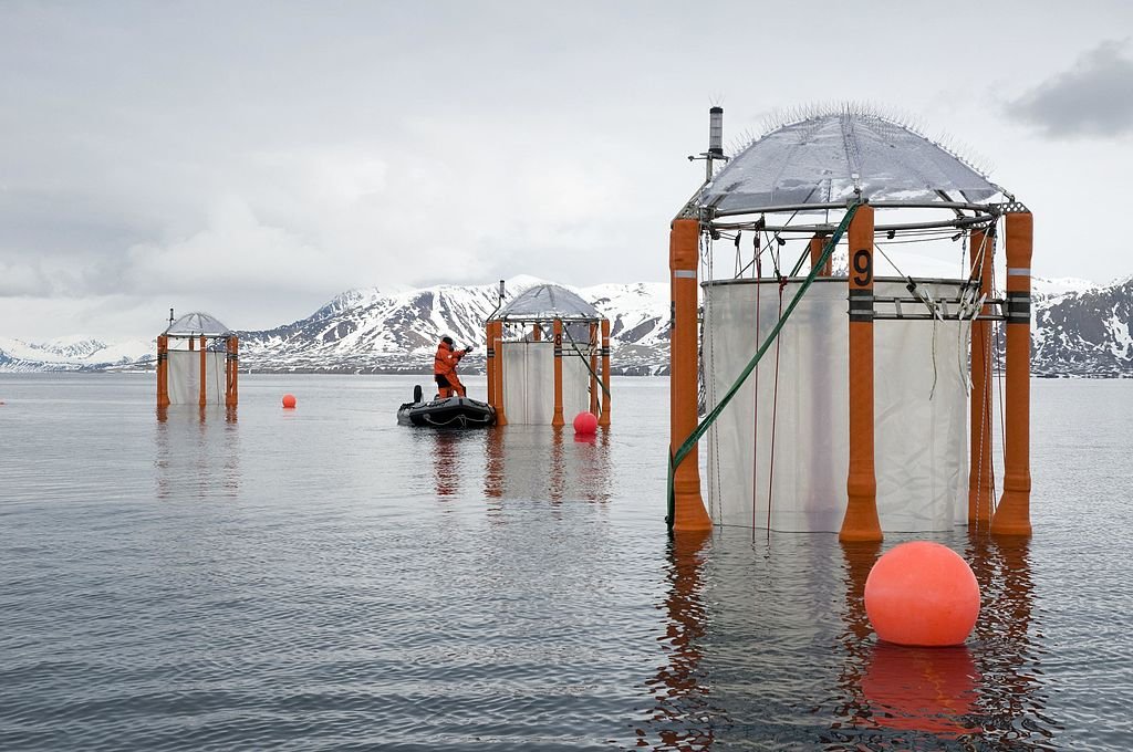 Marine acidification