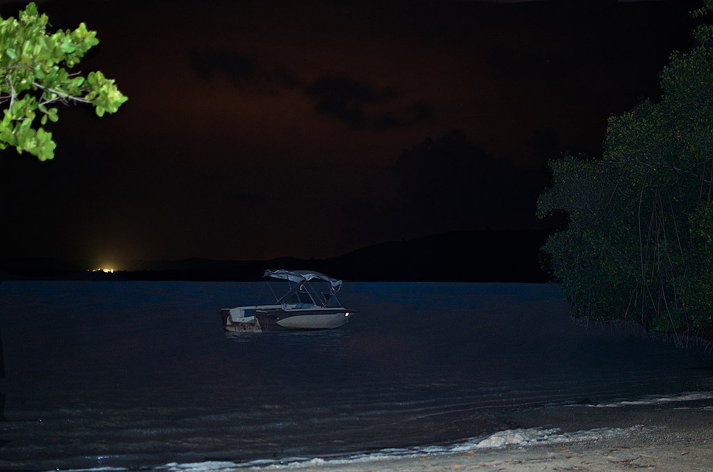 Bioluminescent bay, marine discovery