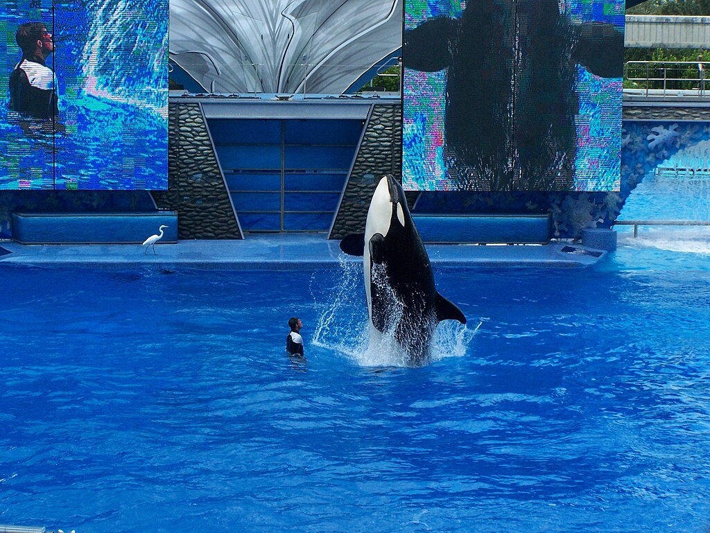 Marine conservation