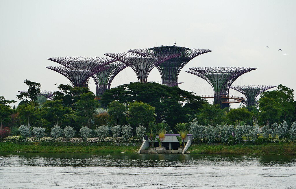 Singapore Supertree Grove