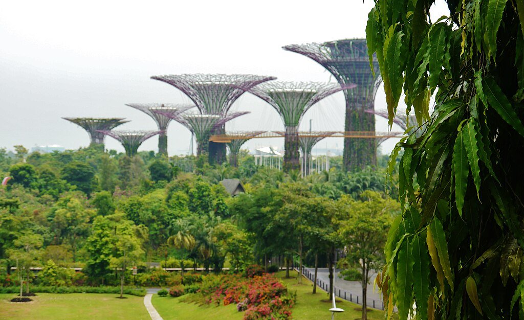 Singapore Supertree Grove