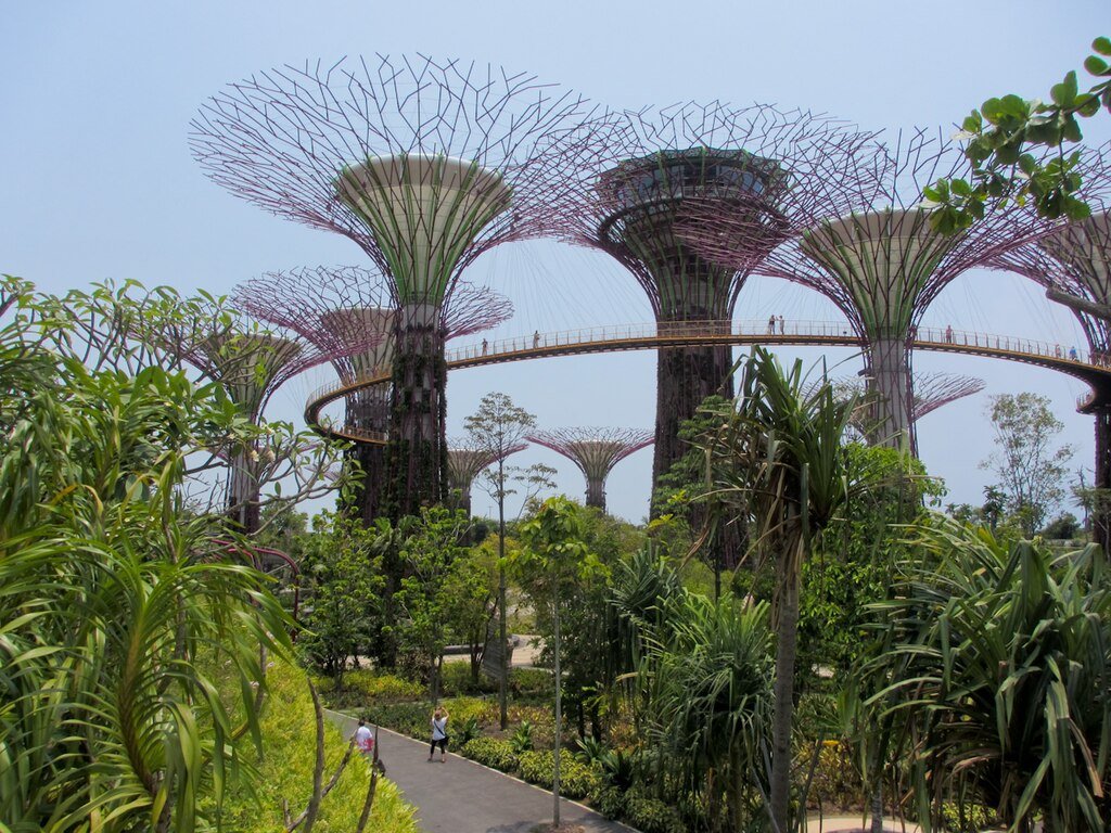 Singapore’s Supertrees
