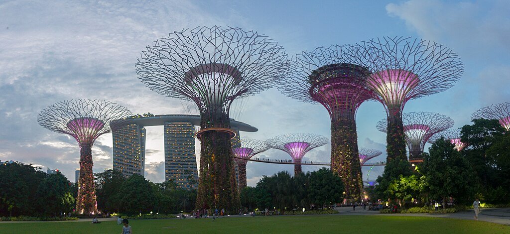 Supertree Grove, Gardens by the Bay