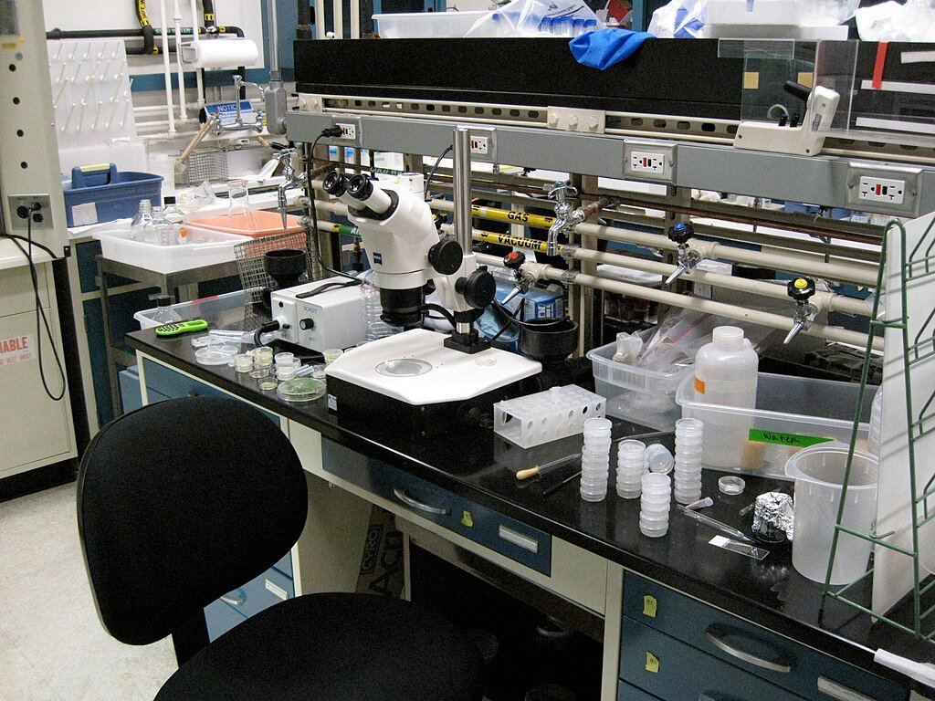 Synthetic Biology, Biotechnology