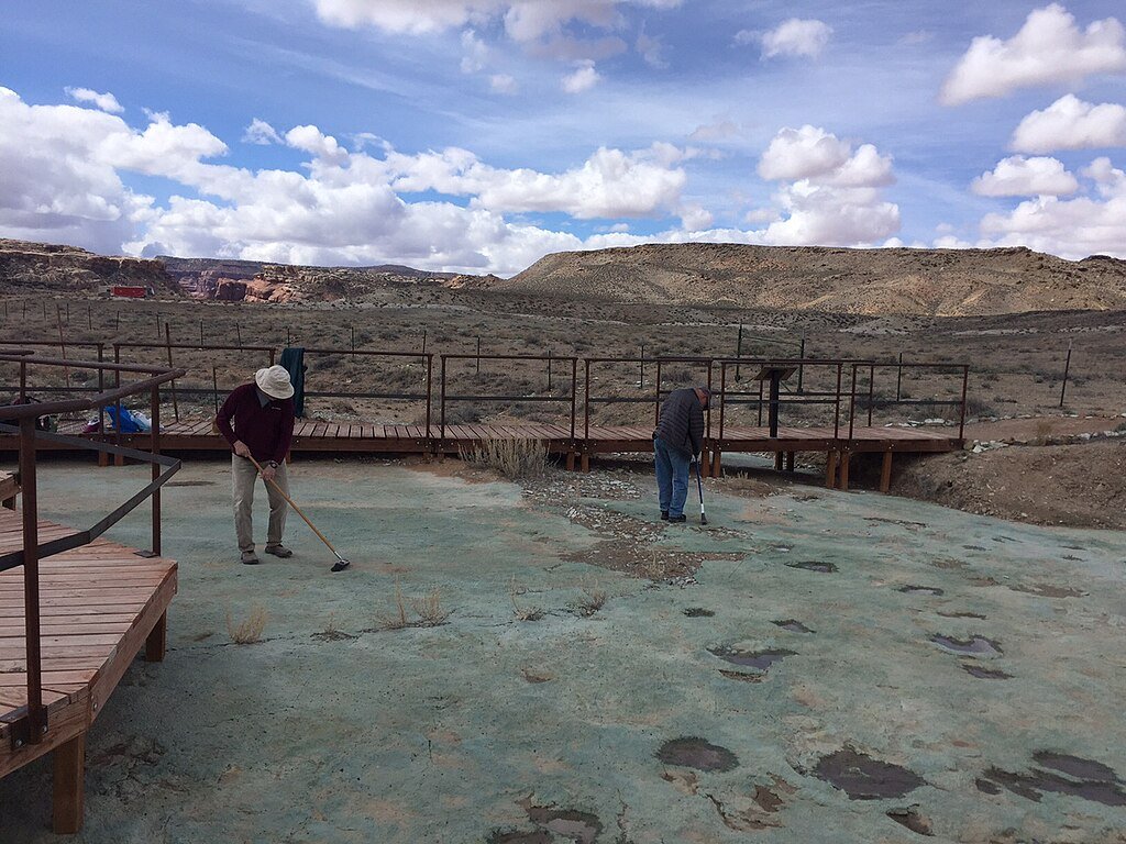 Dinosaur fossils, Paleontologists