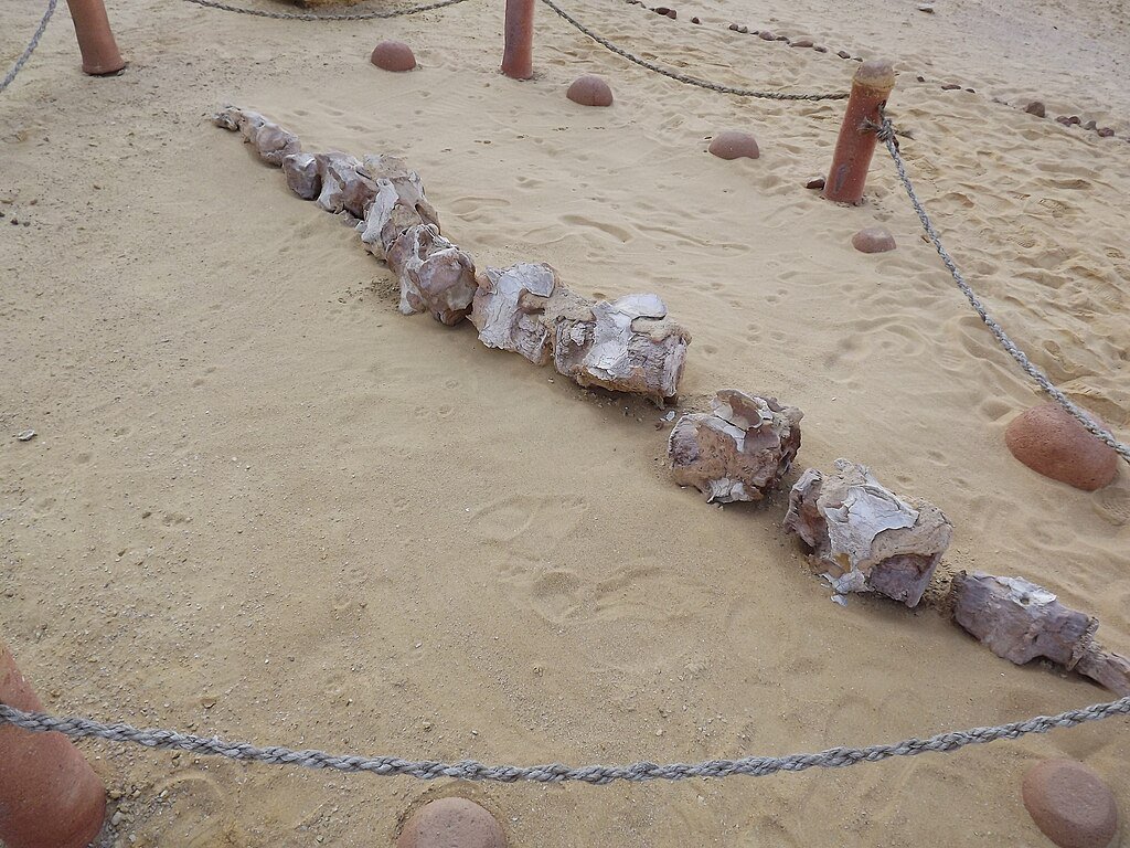 Wadi Al-Hitan