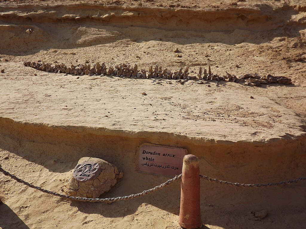 Wadi Al-Hitan