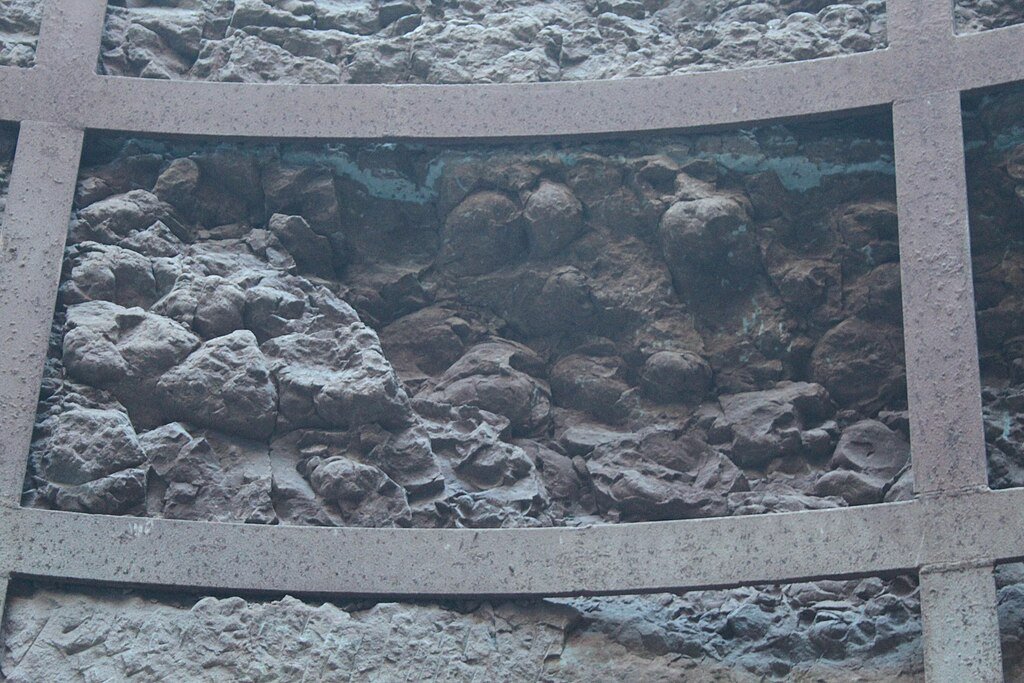 Fossil of Dinosaur Eggs