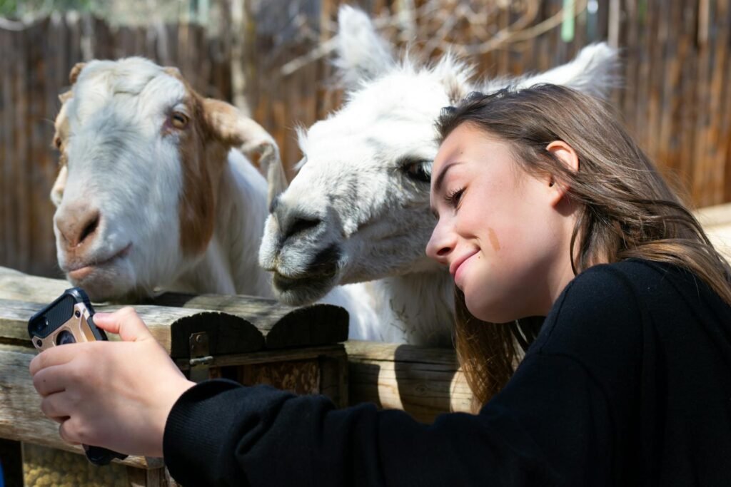 Woman takes a selfie with a goat and llama outdoors on a sunny day.