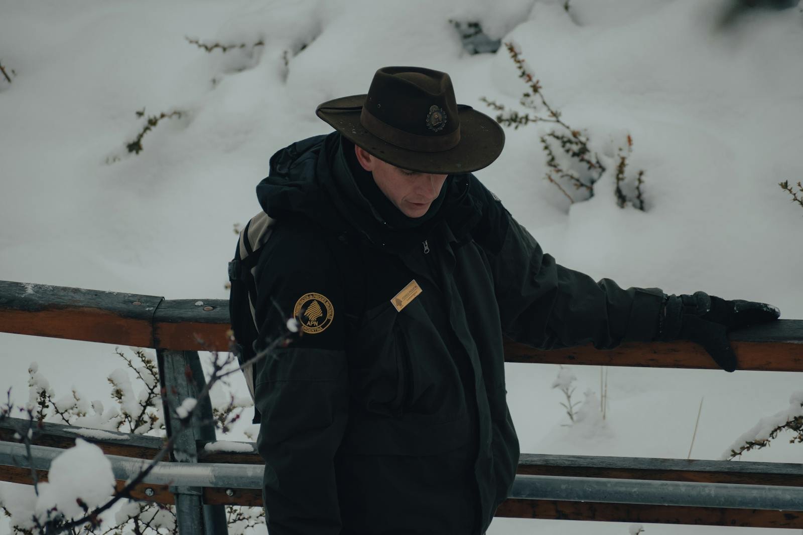 A Day in the Life of a Forest Ranger: Protecting Forests and Wildlife