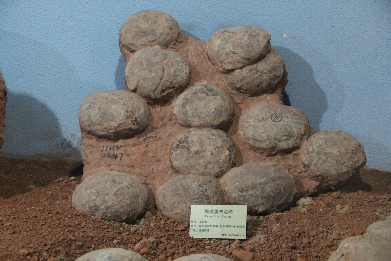How Fossilized Dinosaur Eggs Are Changing What We Know About Reproduction