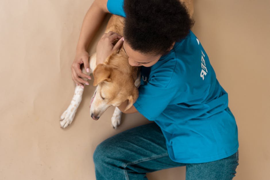 Dogs: The Emotional Sensors